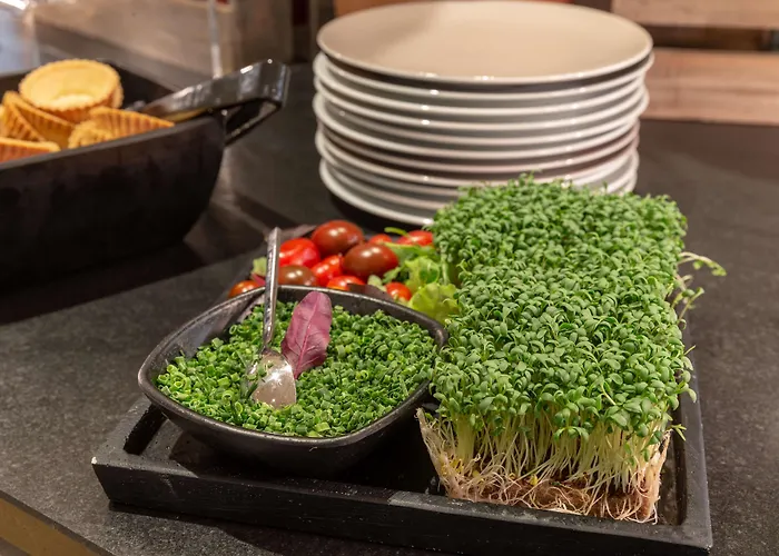 فندق - The Niu, Franz By Ihg 3*